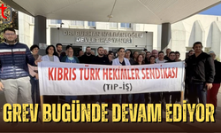 Hekimler sendikası grevi bugün de sürdürüyor