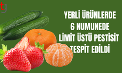 Haftalık gıda denetim sonuçları açıklandı