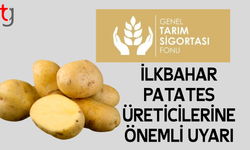 İlkbahar patates için beyan süresi yaklaşıyor