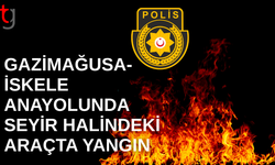 Seyir halindeki araçta yangın paniği