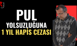 Emekli memura sirkat ve pul sahtekârlığından hapis cezası