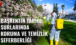 Başkent surlarında temizlik ve koruma çalışmaları sürüyor