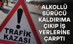 Alkollü sürücü kontrolden çıkıp iş yerlerine çarptı