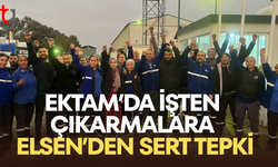 Ektam’da işten çıkarmalara Elsen’den sert tepki