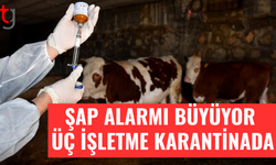 Şap krizi büyüyor: Üç işletme karantinada