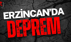 Erzincan'da 4.9 büyüklüğünde deprem
