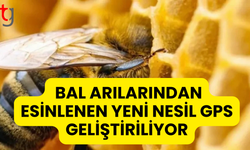 Bal Arılarından Esinlenen Yeni Nesil GPS Geliştiriliyor