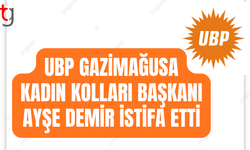Ayşe Demir: Partimin zarar görmemesi için görevi bırakıyorum
