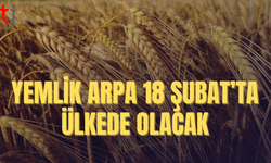 Tedarik sürecindeki aksamalar diderildi