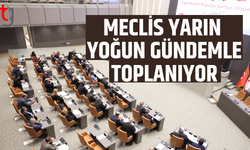 Mecliste kritik gündem: Yoğun yasa trafiği başlıyor