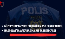 Güzelyurt ve Haspolat’ta iki ayrı hırsızlık olayı
