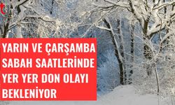 Yarın ve Çarşamba sabah saatlerinde yer yer don olayı bekleniyor