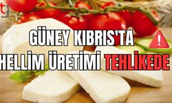 Güney Kıbrıs'ta hellim üretimi tehlikede