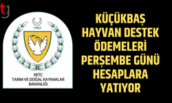 Küçükbaş hayvan destek ödemeleri perşembe günü hesaplarda olacak