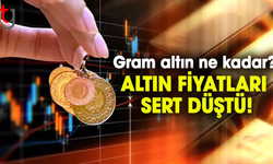 Altın piyasasında tarihi düşüş