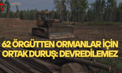 Ormanlar halkındır: 62 örgütten ortak tepki