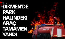 Dikmen’de park halindeki araç kül oldu