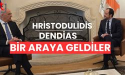 Yunanistan Savunma Bakanı Nikos Dendias, Güney Kıbrıs ziyareti Nikos Hristodulidis ile bir araya geldi