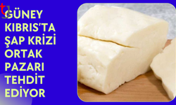 Güney Kıbrıs’ta şap alarmı: Hellim ihracatı riskte