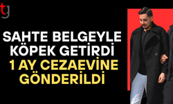 Köpekleri gümrüğe bildirmedi, sahte belge verdi