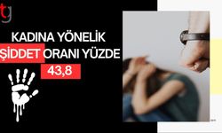 İstatistik Kurumu'ndan kadına yönelik şiddet verileri: "Darp" yüzde 43,8 ile ilk sırada