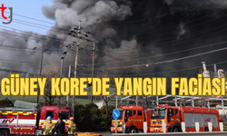 Güney Kore’de fabrika yangını can aldı
