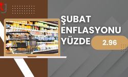 TÜİK açıkladı: Türkiye'de Şubat enflasyonu yüzde 2,96