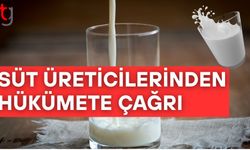 Süt üreticilerinden hükümete çağrı: İthalata geçici önlem alınmalı