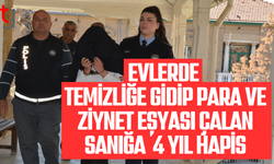Ev temizliğine gidip para ve altın çalan sanığa 4 yıl hapis