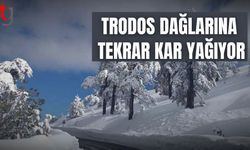 Trodosa kar yağıyor.
