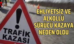 Ehliyetsiz ve alkollü sürücü kazaya neden oldu