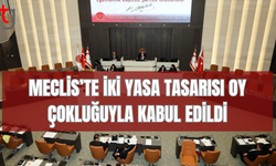 Pasaport ve Oteller yasa tasarıları Meclis’ten geçti