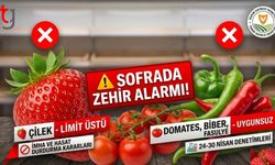 Sofralar Tehdit Altında: Çilek, Domates ve Biberde Zehir Çıktı!