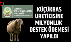 Küçükbaş üreticisine destek ödemesi hesaplara yatırıldı