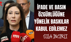 İfade özgürlüğüne yönelik baskılar endişe yaratıyor