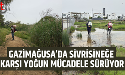 Gazimağusa’da sivrisinekle mücadele sürüyor