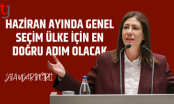Haziranda seçim çağrısı mecliste yeniden gündeme geldi