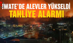 Iwate’de orman yangını paniği
