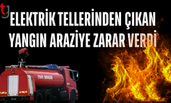 Akdoğan’da çıkan yangın arazide zarara yol açtı