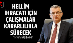 Hellimde yeni dönem: Yeşil hat ticareti başlıyor