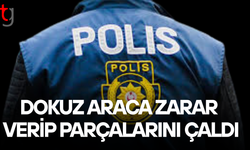 Park halindeki araçlara zarar verip parça çaldı