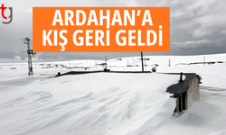 Ardahan’da yayla evleri kara gömüldü