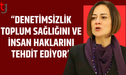 Tüp bebek merkezlerinde denetim çağrısı