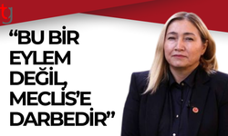Yasemin Öztürkler'den meclis önündeki olaylara sert tepki