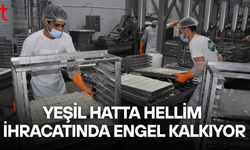 Yeşil hatta hellim ihracatında kritik engel aşılıyor