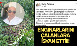 Enginar bahçesine giren hırsızlar üreticiyi mağdur etti