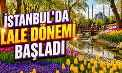 İstanbul’da lale dönemi başladı
