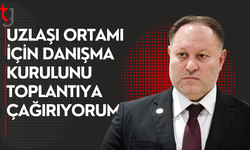 Meclis başkanı öztürkler: Uzlaşı için danışma kurulu toplanıyor