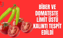 Gıda denetimlerinde risk: Bazı ürünlerde kalıntı sınırı aşıldı