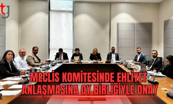 Meclis komitesinde sürücü belgeleri anlaşmasına onay çıktı